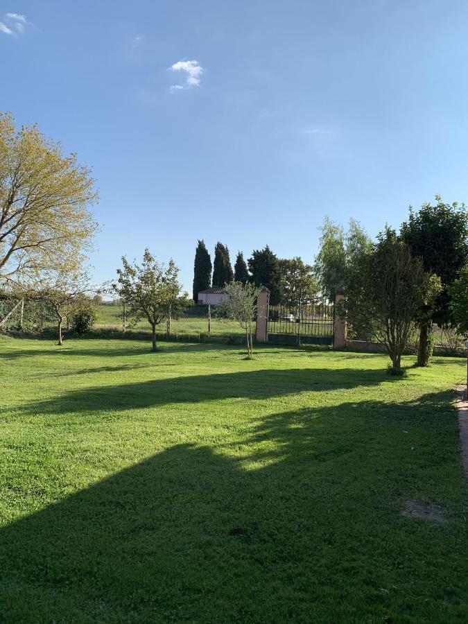 Villa Favilli Pisa Exterior photo